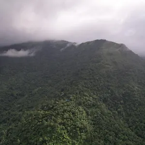 Regina Silva & Nature India